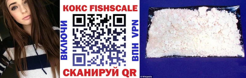 как найти наркотики  Себеж  Кокаин Fish Scale 